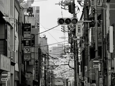 Back streets of Asakusa