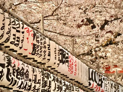 Lanterns at Senso-ji Temple, Asakusa, Tokyo