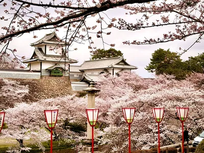Kanazawa Castle
