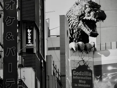 A 12-metre-tall Godzilla peers over the Kabukicho district in Shinjuku, Tokyo